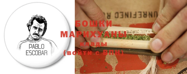 ECSTASY Костерёво