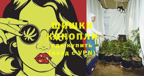 ECSTASY Костерёво