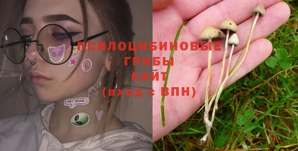 трава Козельск