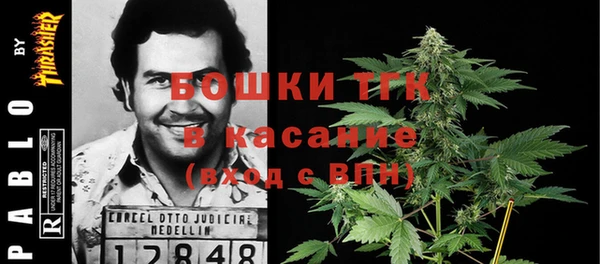 ECSTASY Костерёво