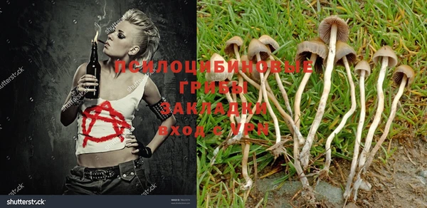 прущие крисы Коряжма