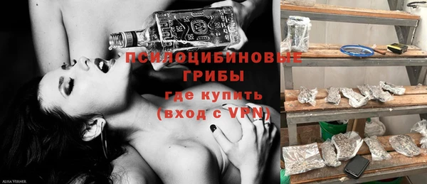 прущие крисы Коряжма