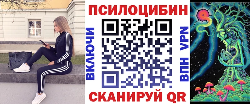 Галлюциногенные грибы Psilocybine cubensis  Карталы 